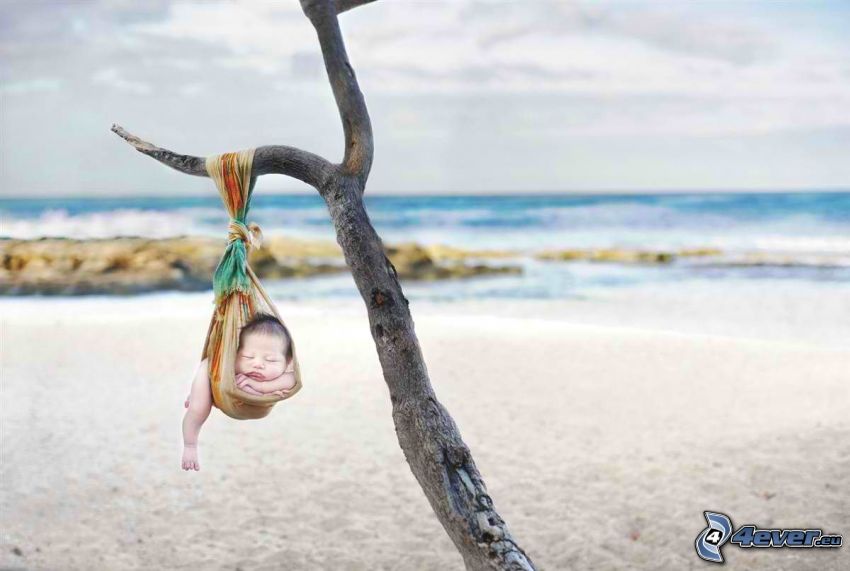 bambino che dorme, bambino sulla spiaggia, albero secco, sciarpa