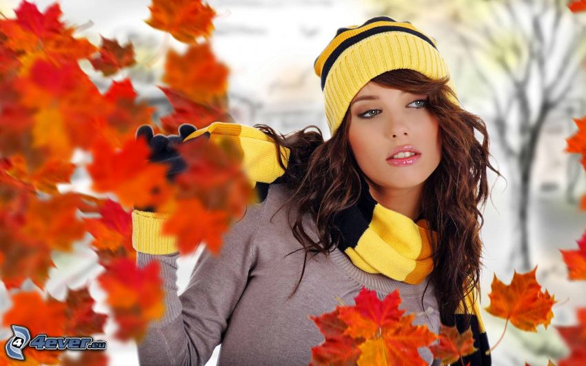 donna, berretto, sciarpa, foglie colorate