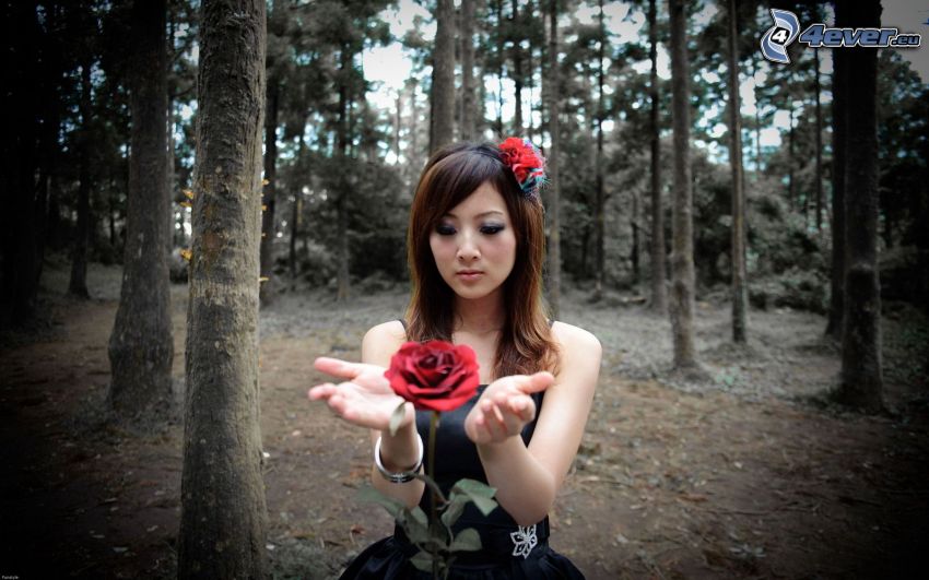 donna nella foresta, ragazza con fiore, rosa rossa