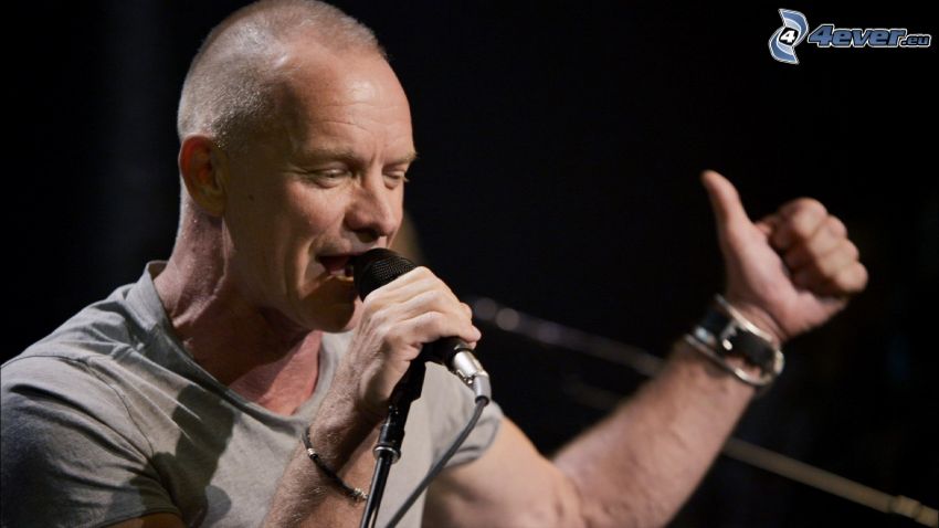Sting, canto