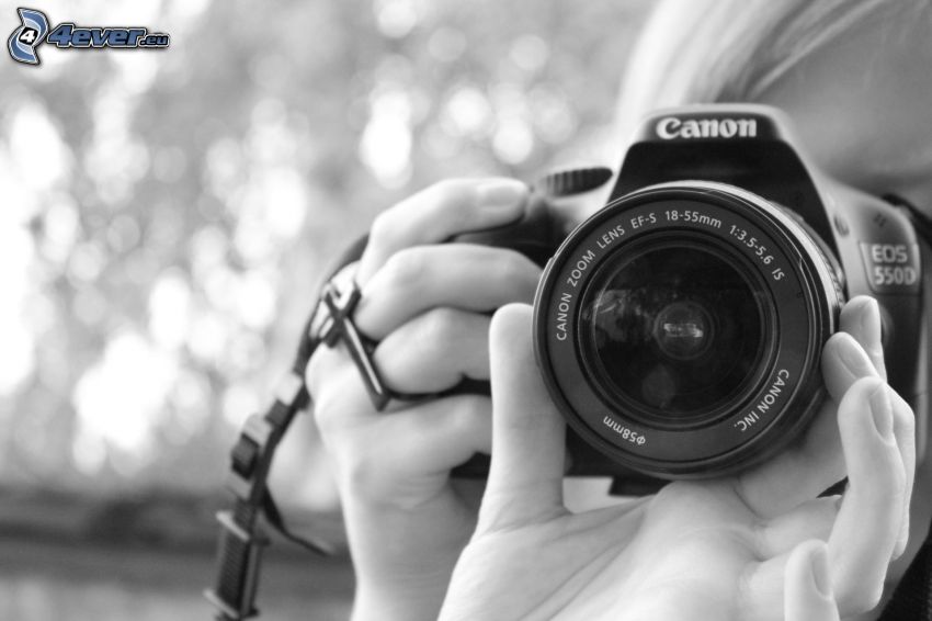 ragazza con fotocamera, Canon EOS 550D