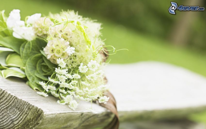 bouquet di nozze, panchina