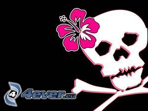cranio, ossa, la morte, fiore