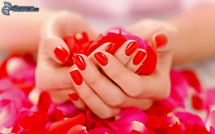 unghie dipinte, petali di rosa