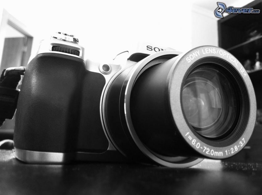 fotocamera, Sony