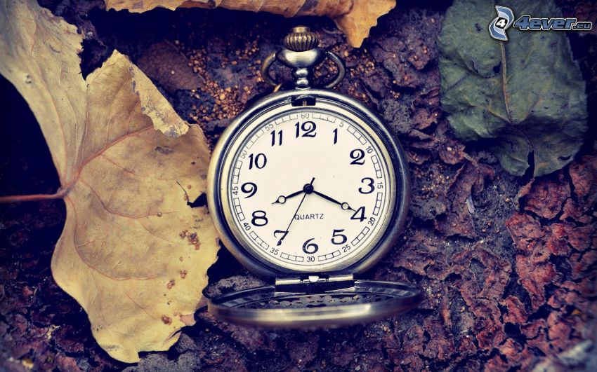 orologi storici, foglie