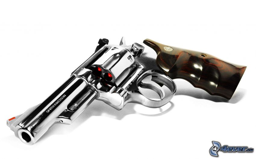 Smith & Wesson 500, pistola