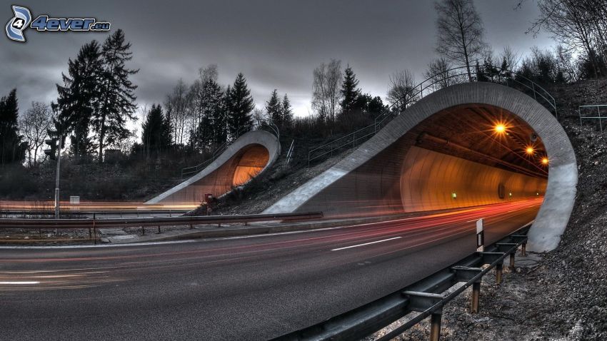 autostrada di sera, tunnel, strada, alberi, HDR