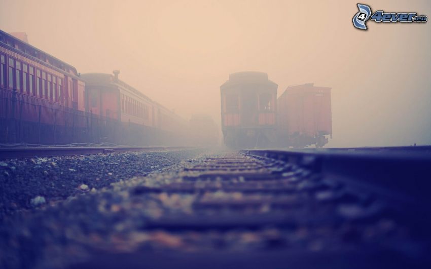 carri storici, stazione ferroviaria, nebbia
