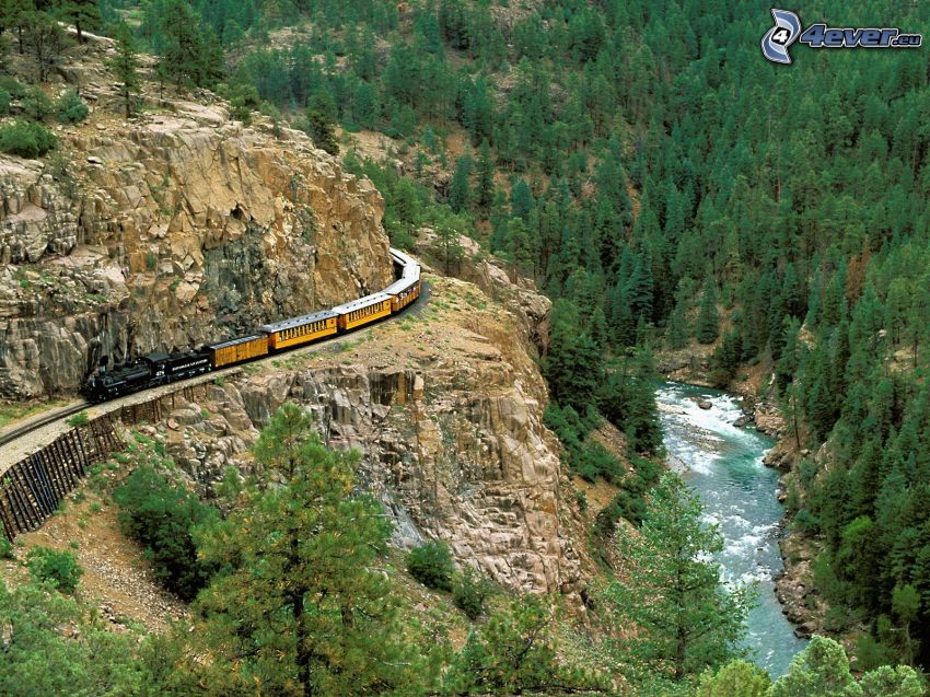 treno a vapore, roccia, alberi di conifere, il fiume