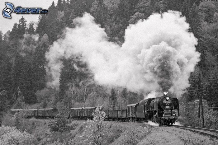 treno a vapore, treno merci, locomotiva a vapore, fumo, foresta, bianco e nero
