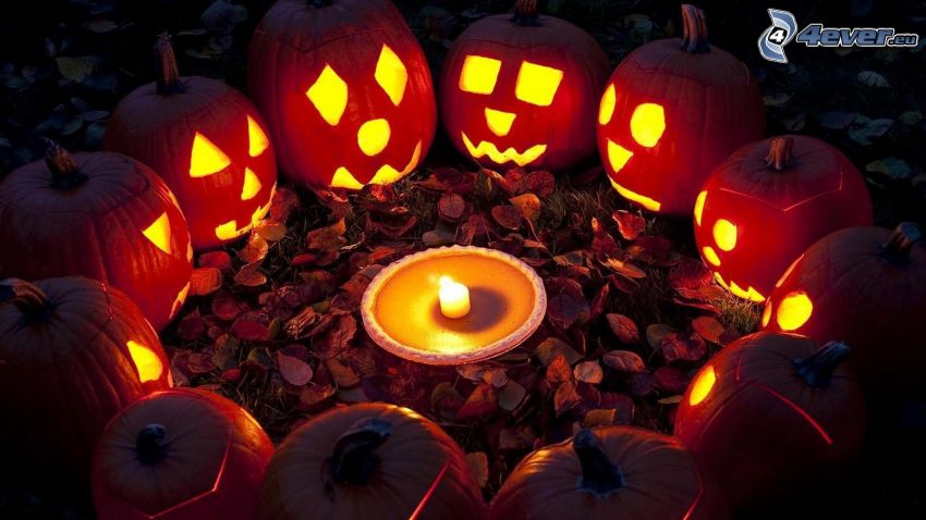 Zucche di Halloween, candela, cerchio, foglie di autunno, oscurità