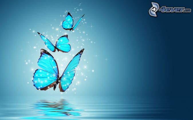 kék pillangók, víz, kék háttér