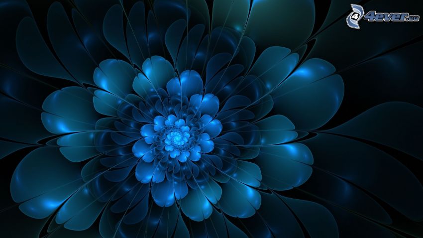 digitális virágok, kék háttér