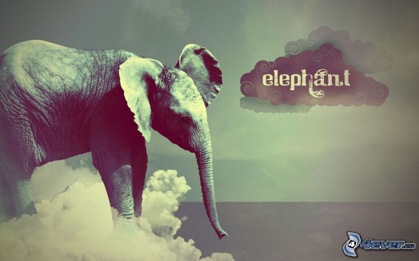 elefánt, felhők