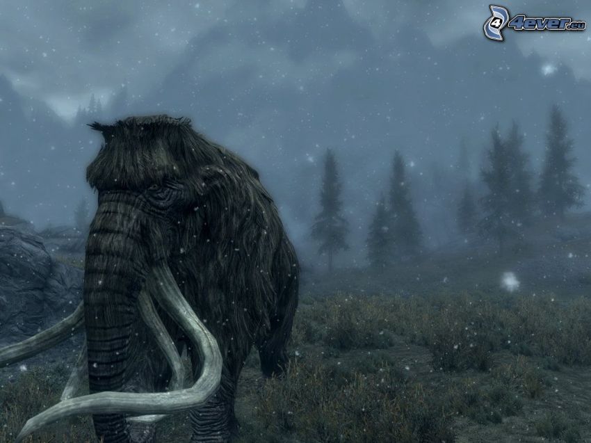 mamut, hó, erdő