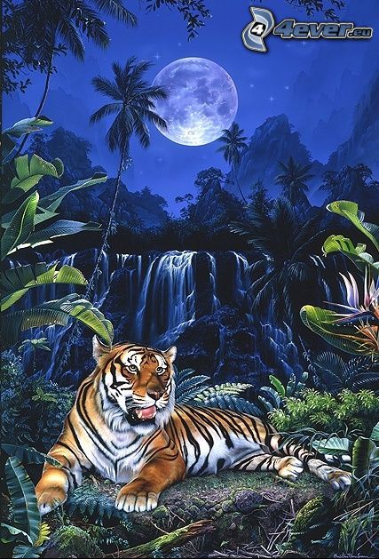 tigris, éjszaka, hold, vízesés