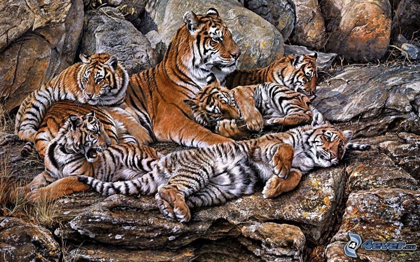 tigrisek