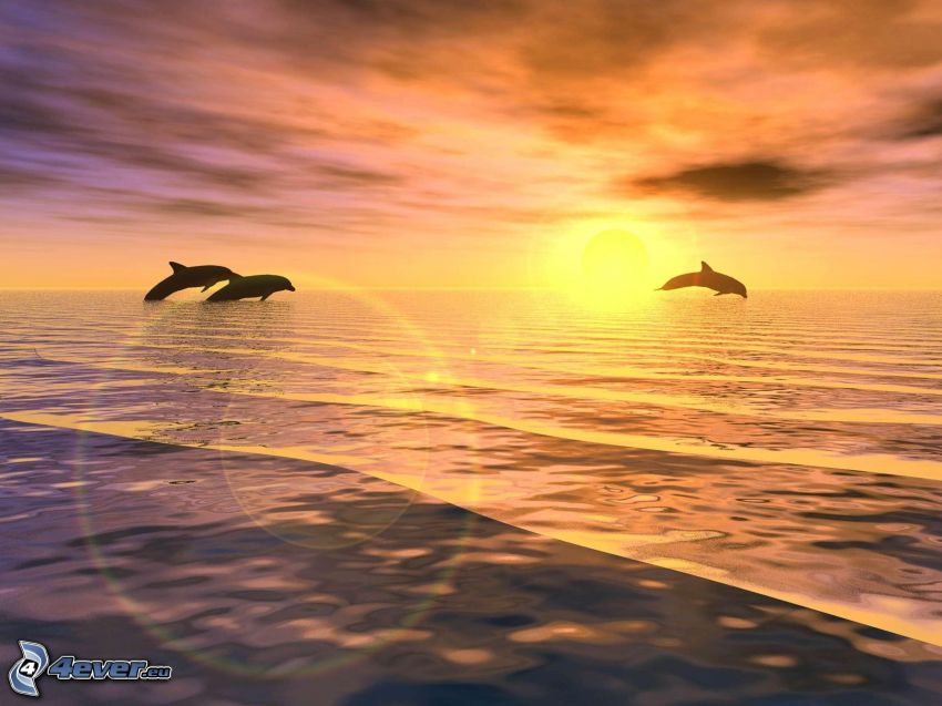 ugró delfinek, naplemente a tengeren, állatok sziluettjei