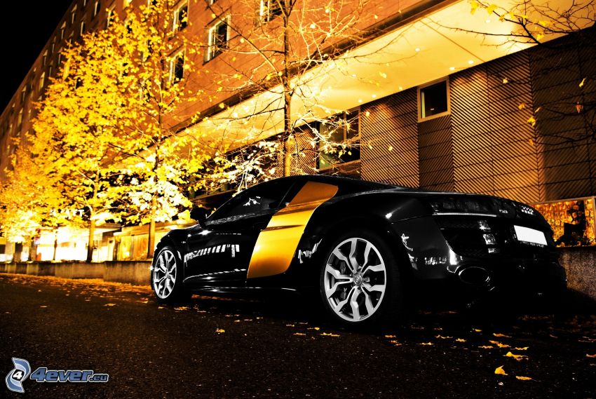 Audi, sportkocsi, sárga fák, panelház, este