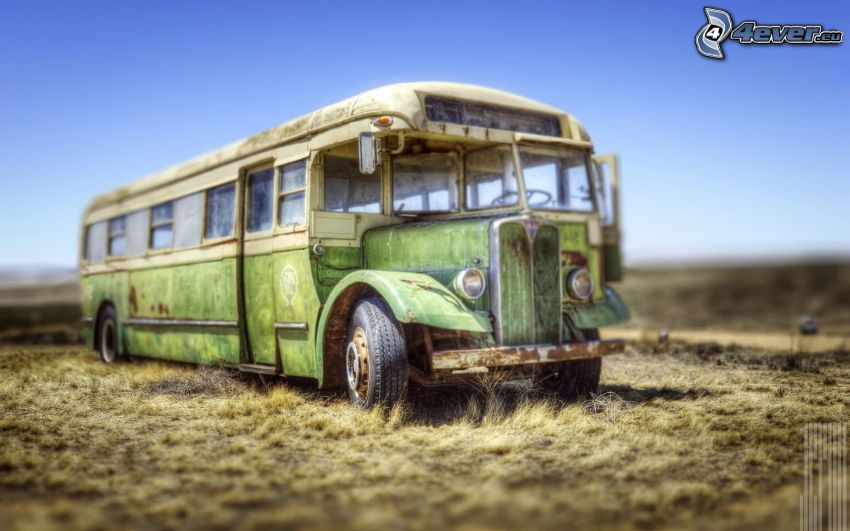 Chevrolet, autóbusz, veterán, HDR