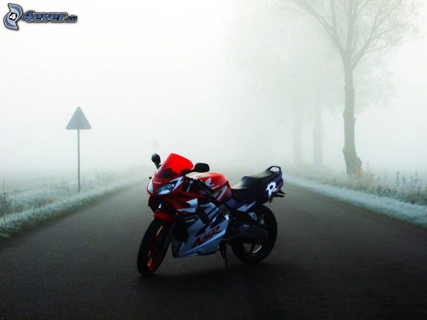Honda NSR, köd, út, fa ösvény, útjelző tábla