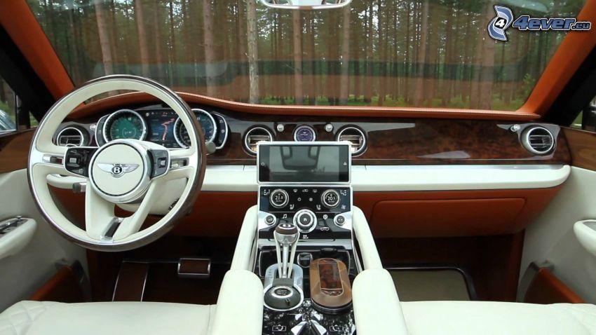 Bentley EXP 9F, beltér, erdő