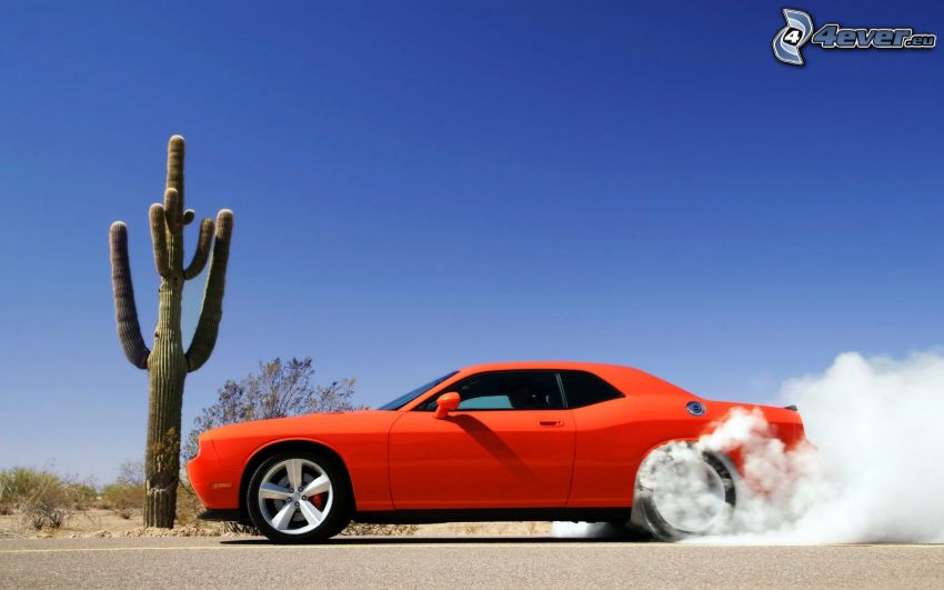 Dodge Challenger SRT, burnout, füst, kaktusz