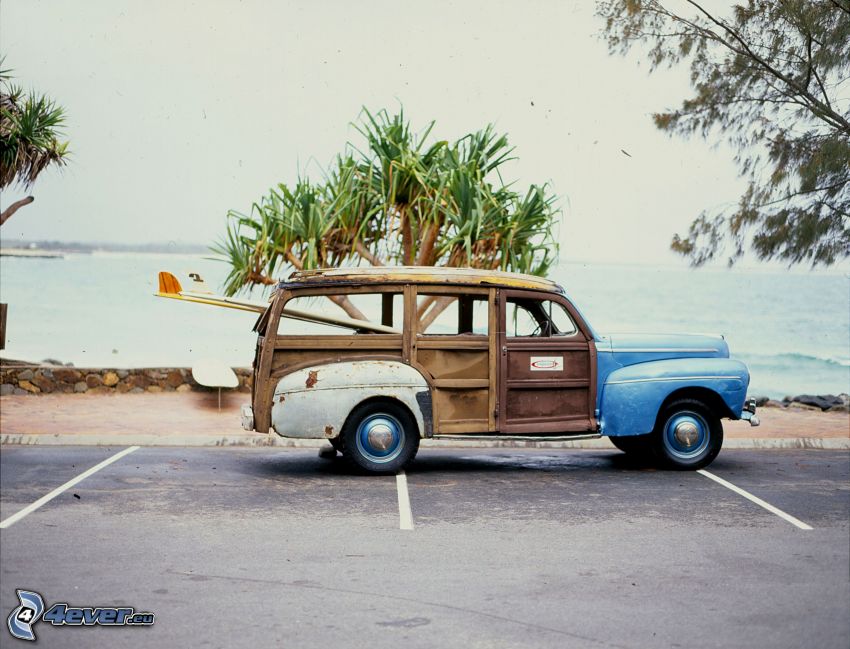 Ford Woody, veterán, pálmafa, parkoló, tenger