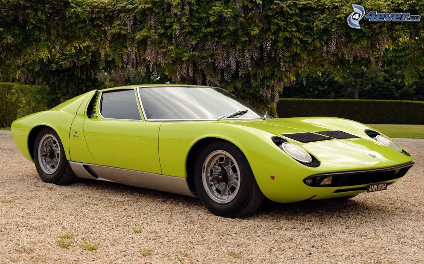 Lamborghini Miura, veterán