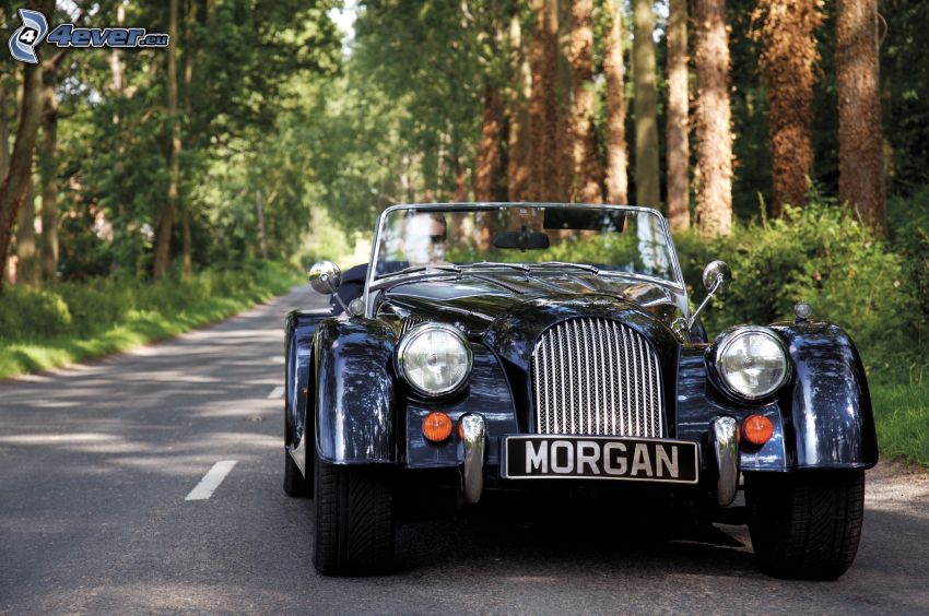 Morgan Roadster, kabrió, út, erdő