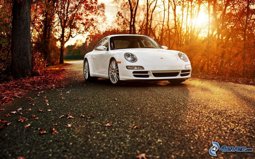 Porsche 911 Carrera S, lehullott levelek, naplemente az erdőben