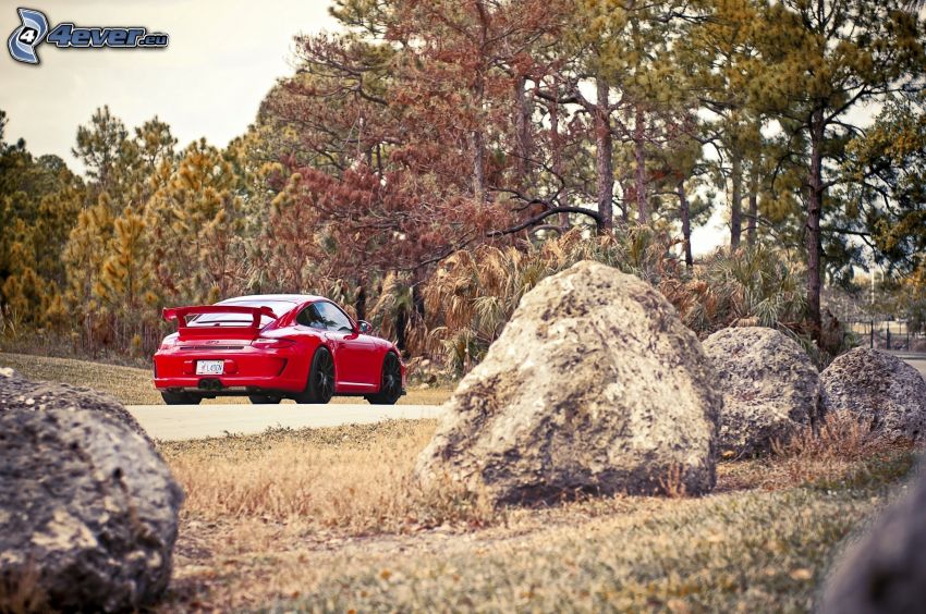 Porsche 911 GT3, szikladarabok, tűlevelű fák