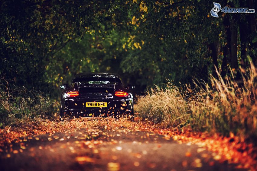 Porsche GT3R, út az erdőben