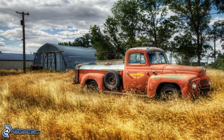 régi autó, farm