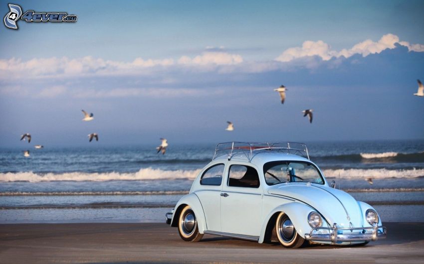 Volkswagen Beetle, lowrider, homokos tengerpart, sirályok, tenger, hullámok