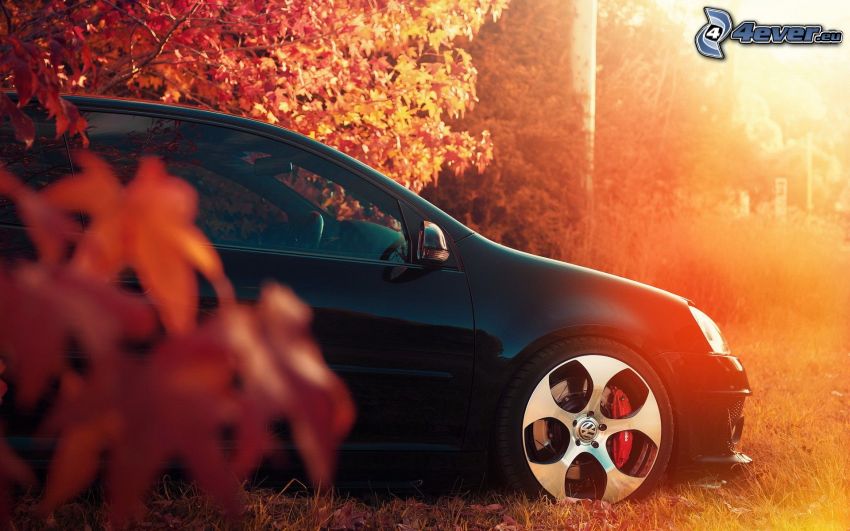 Volkswagen Golf, piros őszi erdő