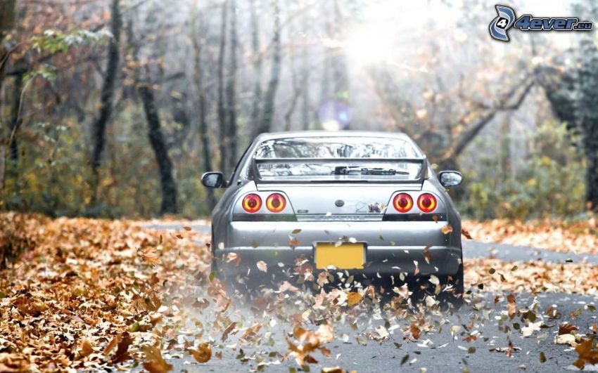 Nissan Skyline, száraz levelek