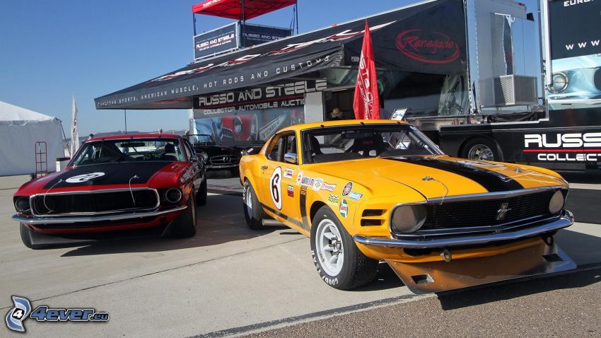 Ford Mustang, veterán, versenyautó