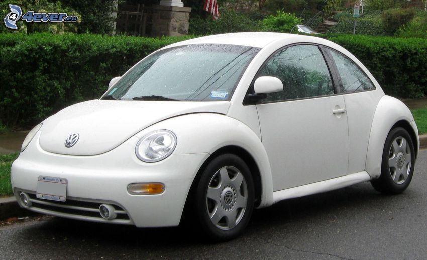 Volkswagen New Beetle, eső