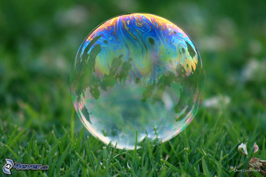 buborék, fű