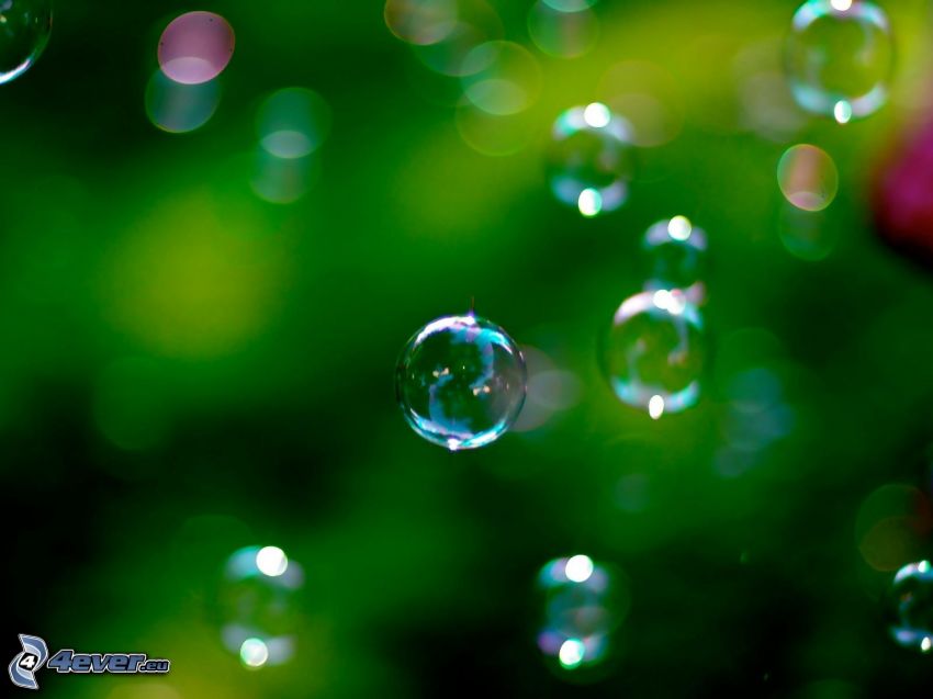 buborékok, zöld háttér