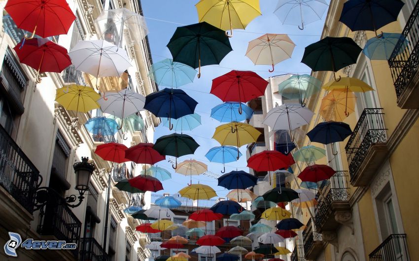 esernyők, utca