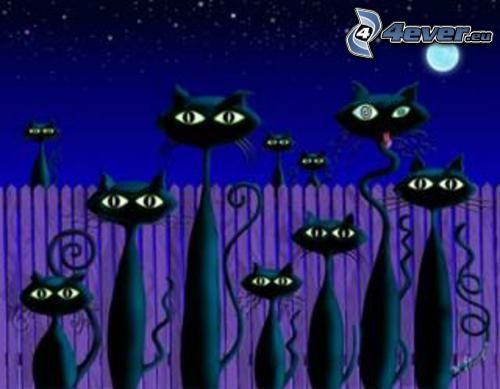 fekete macskák, rajzolt macska