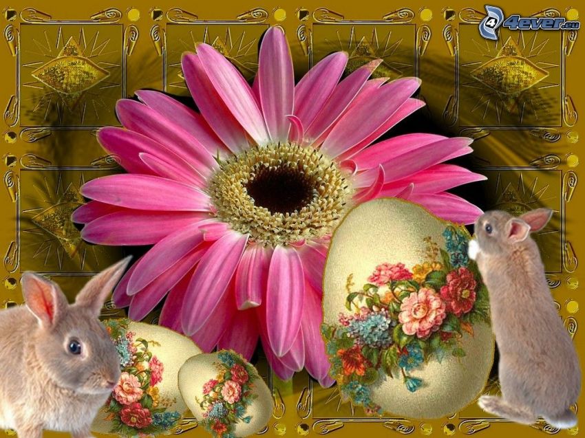Húsvét, nyúl, virág, tojás