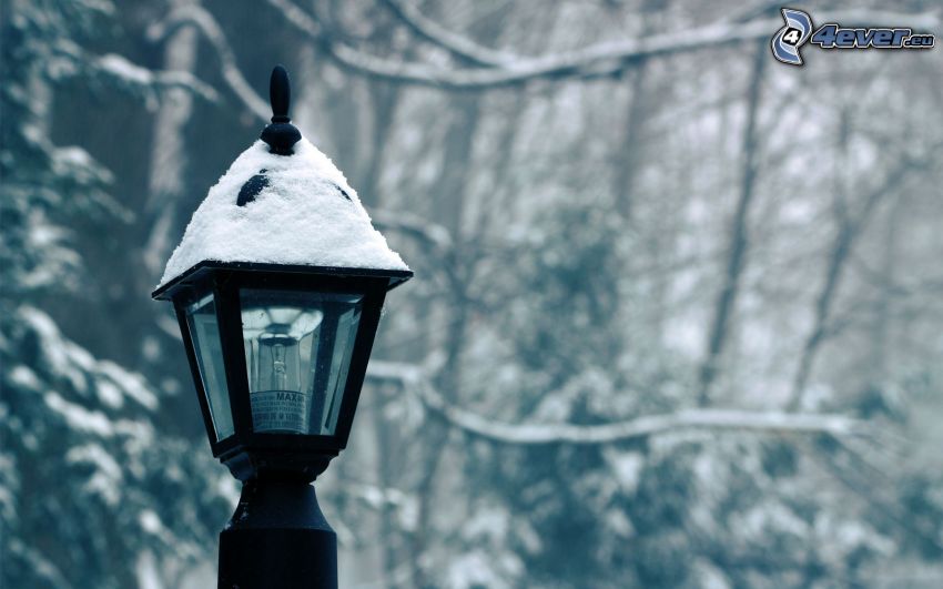 lámpa, hó
