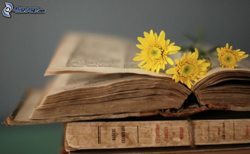régi könyvek, sárga virágok