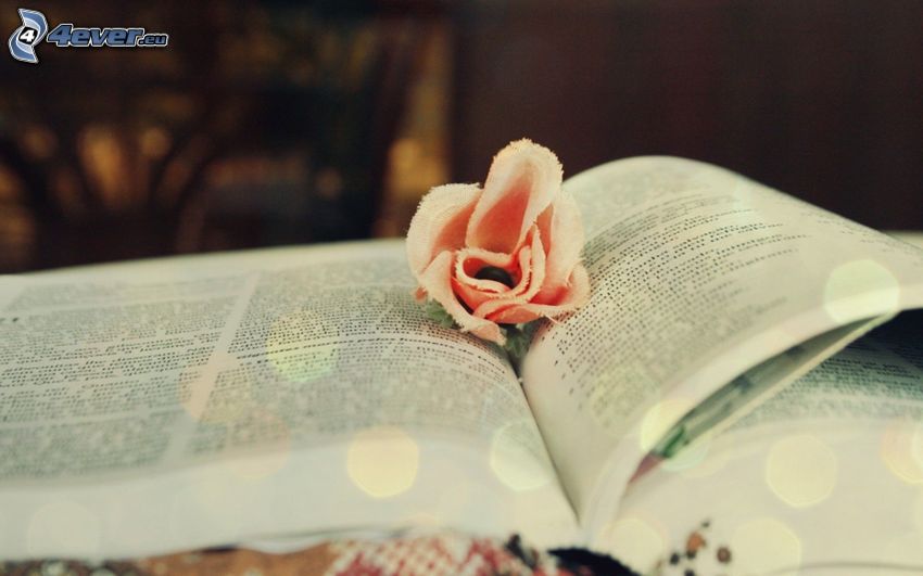 rózsa, könyv