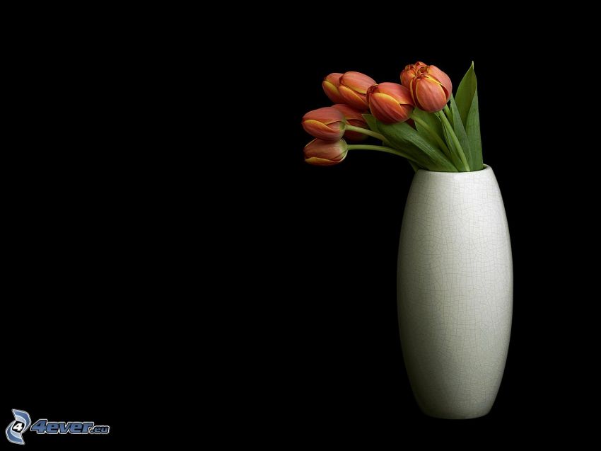 virágok vázában, tulipánok