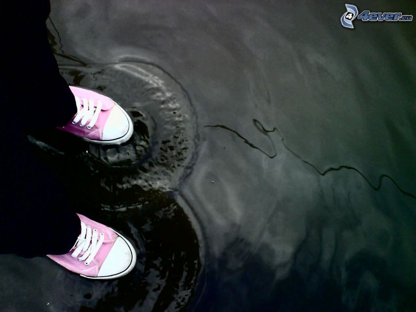 rózsaszín tornacipők, tócsa, hullám, víz